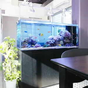 サービスロゴ